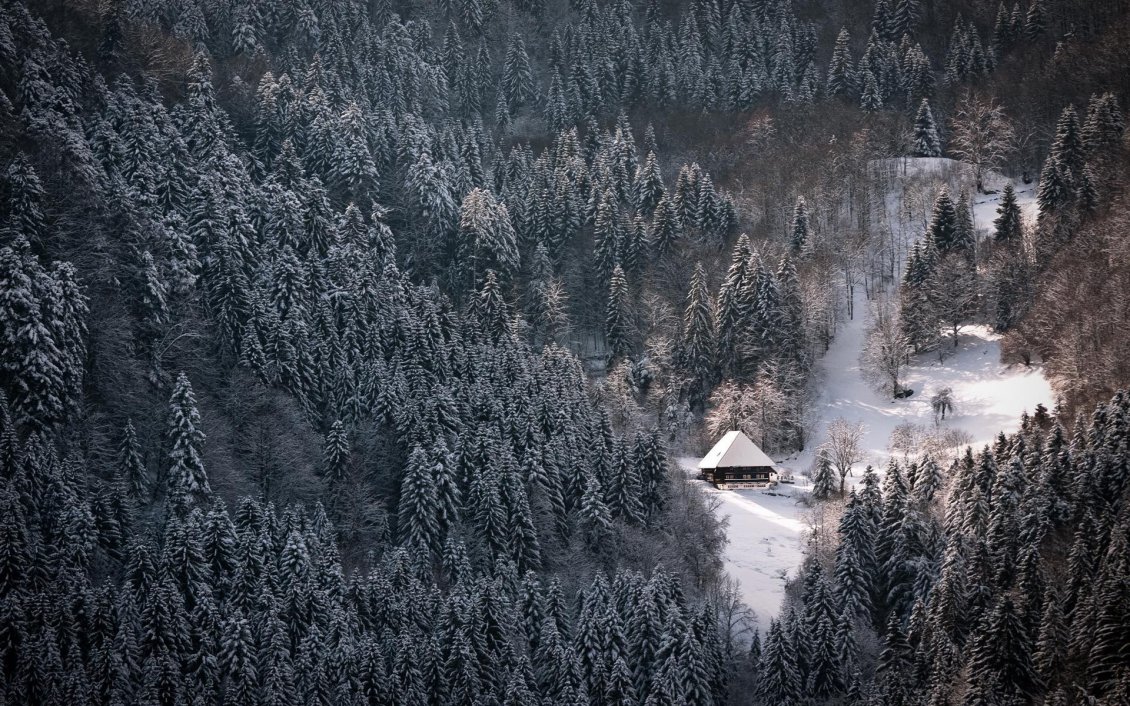 Download Wallpaper Small cottage in the middle of the forest - Winter season