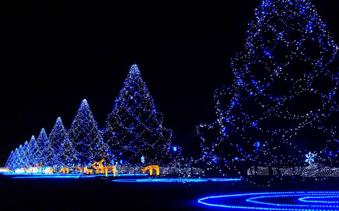 Download Wallpaper Wonderful blue Christmas lights in the town