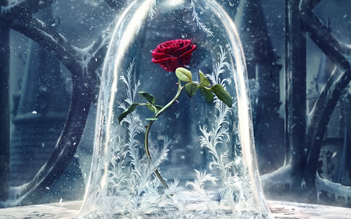 Download Wallpaper Wonderful red rose protected from the cold winter season