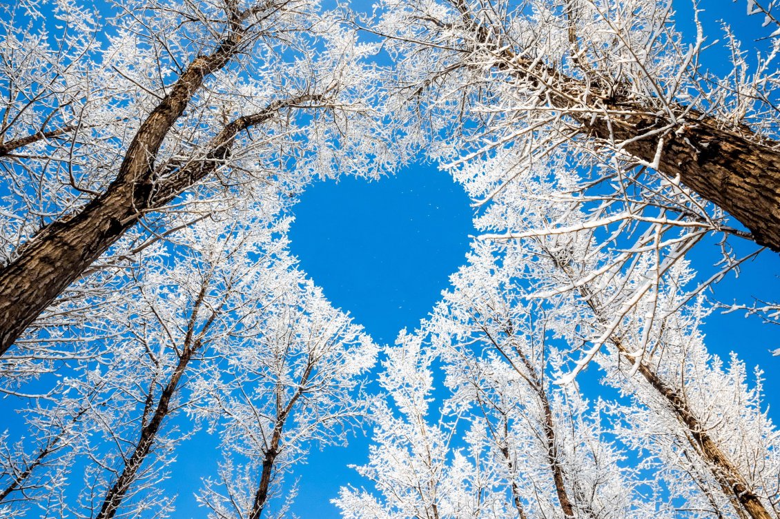 Download Wallpaper Blue heart on the sky - HD Winter wallpaper