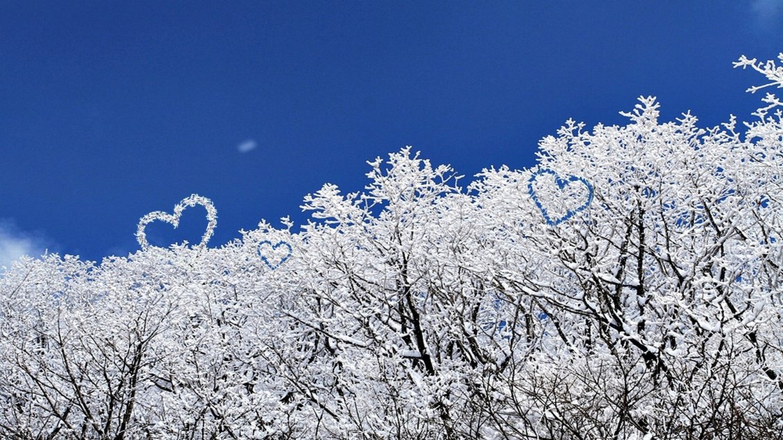 Download Wallpaper White winter season - Heart in the forest