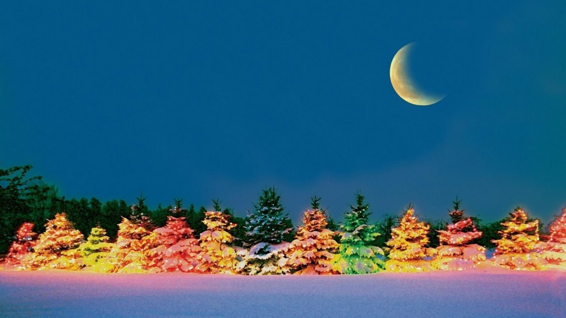 Download Wallpaper Colorful tree in the cold winter night - HD wallpaper