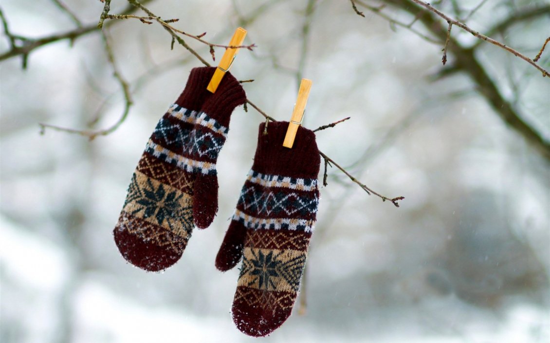 Download Wallpaper Gloves hanging in tree - Winter games