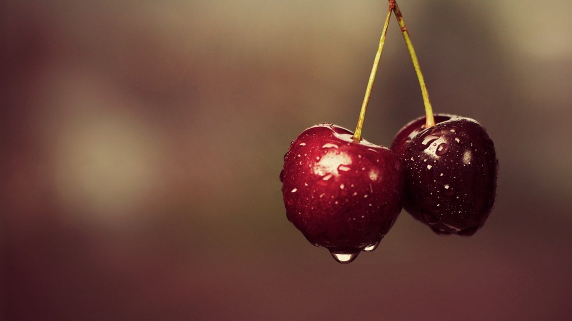 Download Wallpaper Delicious cherries - Macro red fruits