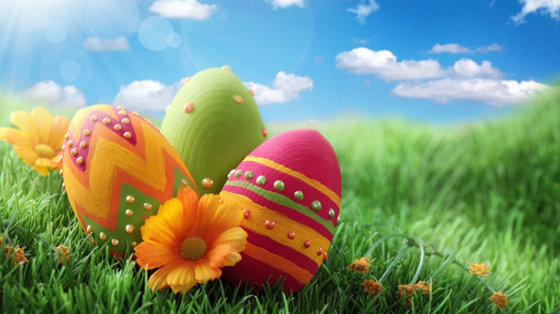 Download Wallpaper Painted Easter eggs on the green grass - Happy Holiday