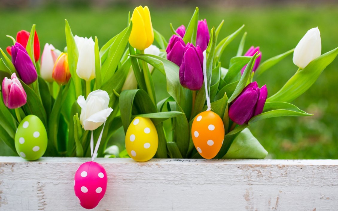 Download Wallpaper White dots on Easter eggs and colorful tulips -Happy Holiday
