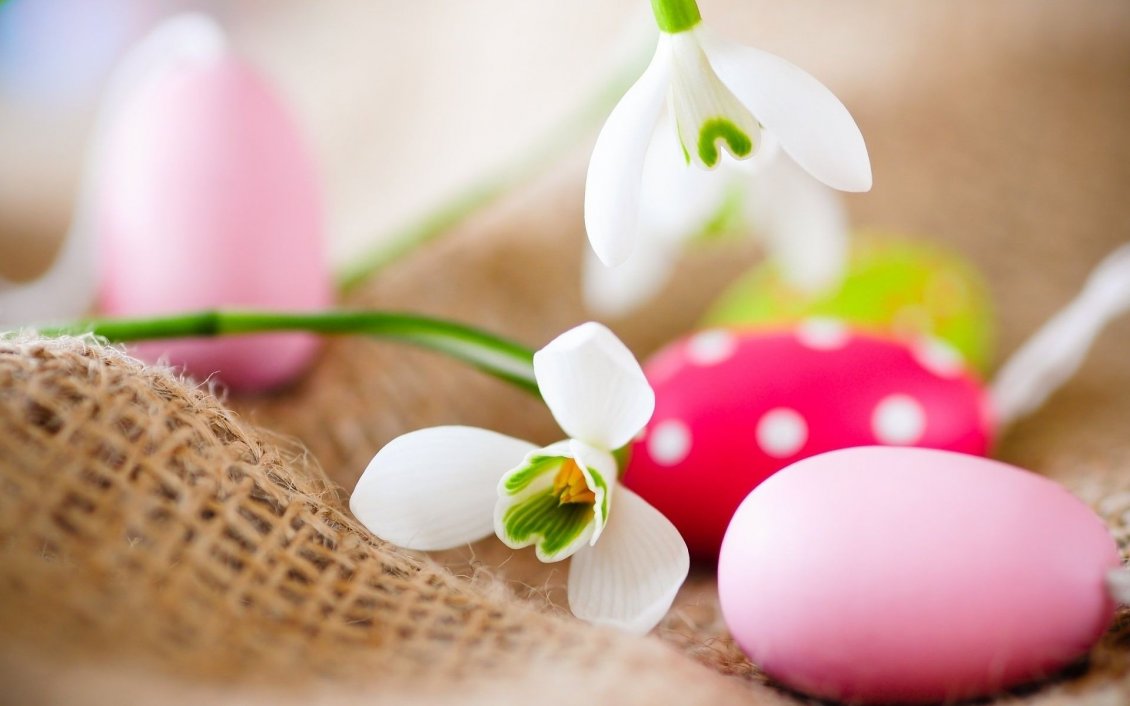 Download Wallpaper Snowdrops and colorful Easter eggs - Happy Spring Holiday
