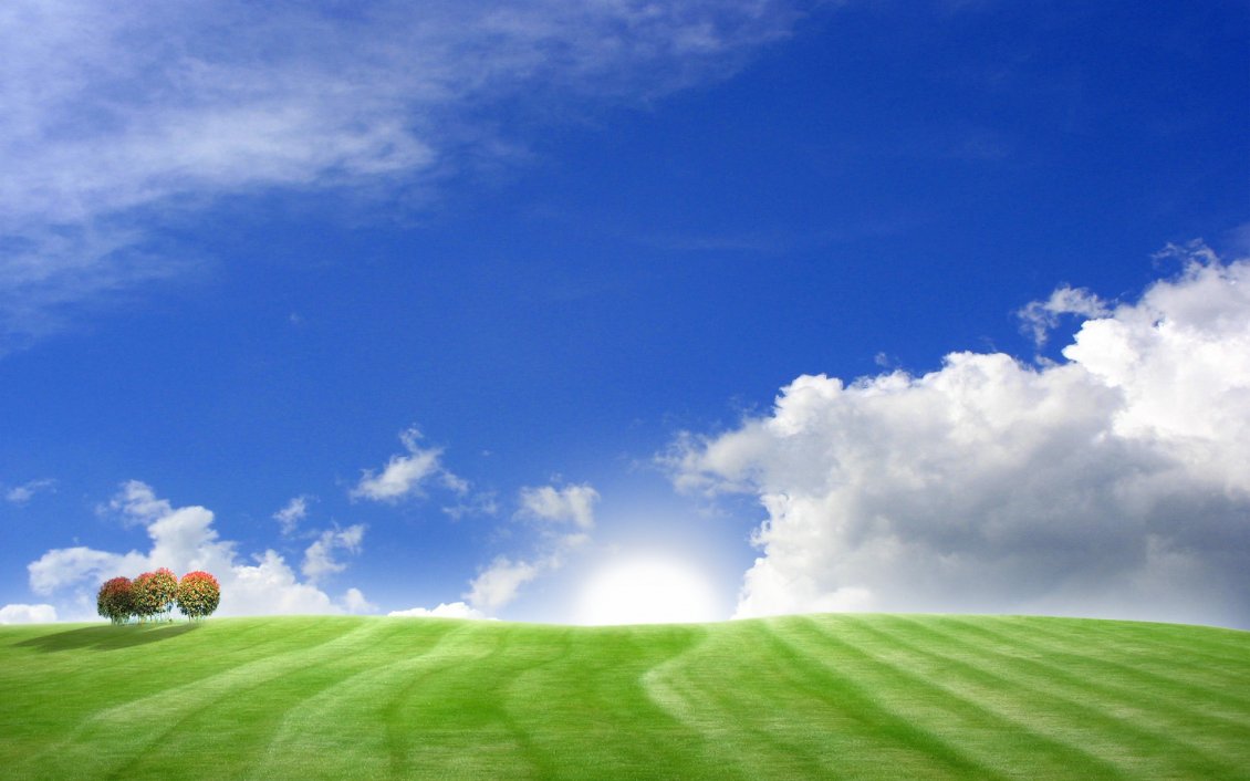 Download Wallpaper Blue sky and green field - Wonderful summer HD wallpaper