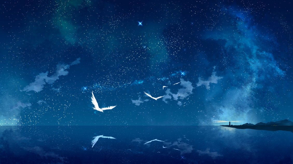 Download Wallpaper White birds flying over the blue ocean water - Magic mirror