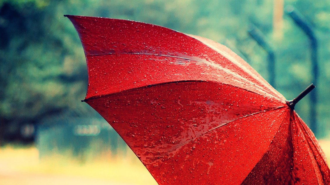 Download Wallpaper Macro red umbrella in the rain - HD wallpaper