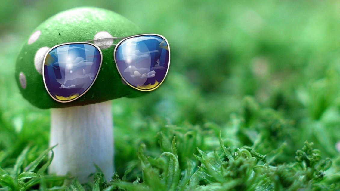Download Wallpaper Creative wallpaper - Mushroom with sunglasses