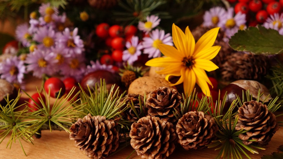 Download Wallpaper Pinecones and Autumn flowers - HD wallpaper