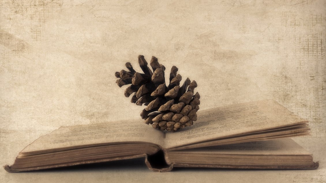 Download Wallpaper Pinecone on an old book - HD wallpaper