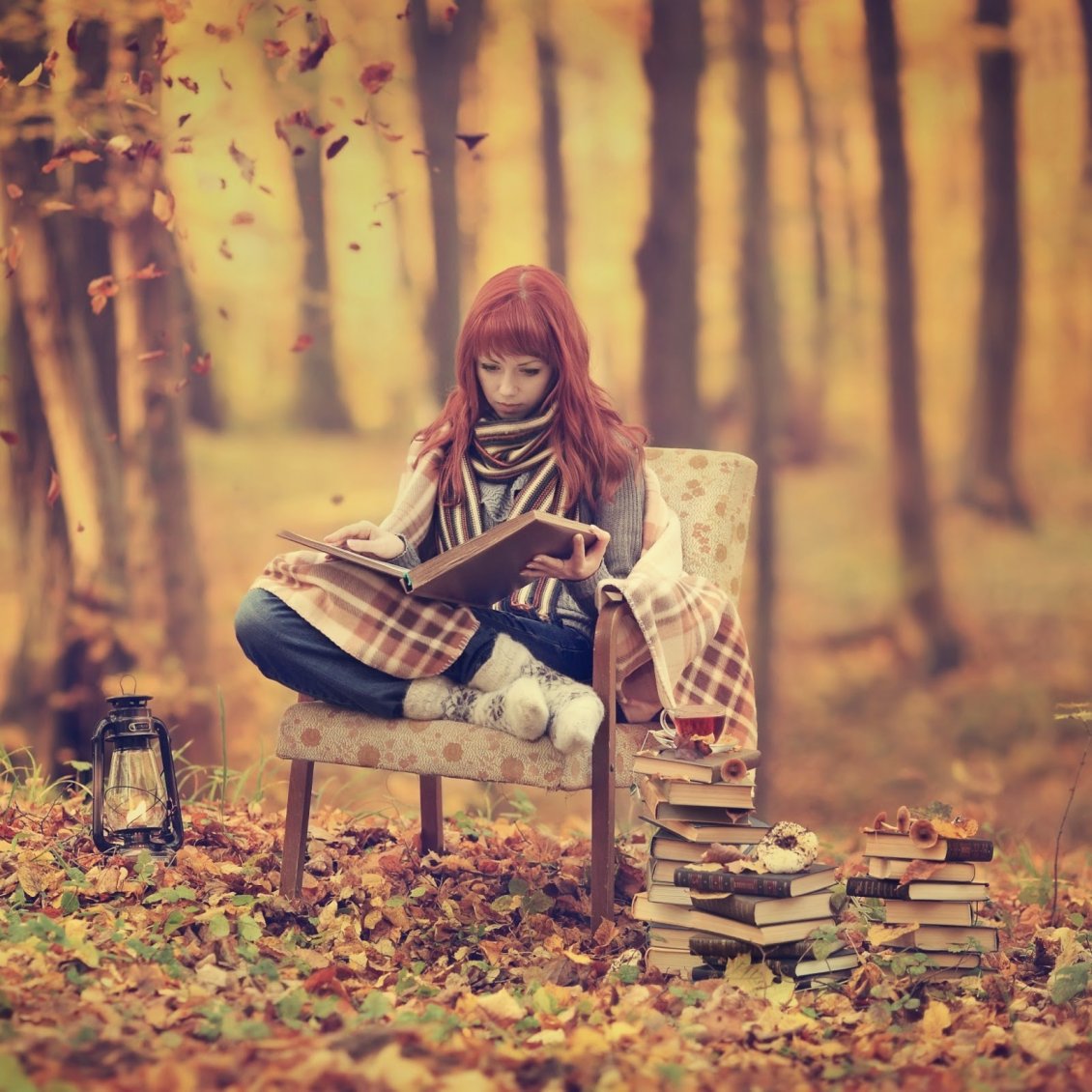 Download Wallpaper Relaxing time in the forest reading books - HD wallpaper