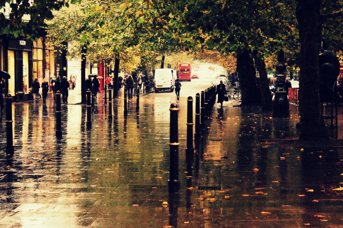 Download Wallpaper Water on the street - Rainy Autumn day in the park
