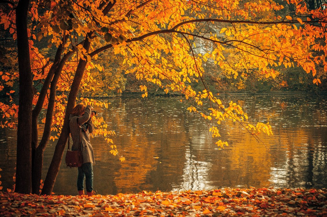 Download Wallpaper Wonderful professional photos in Autumn season- Rusty nature