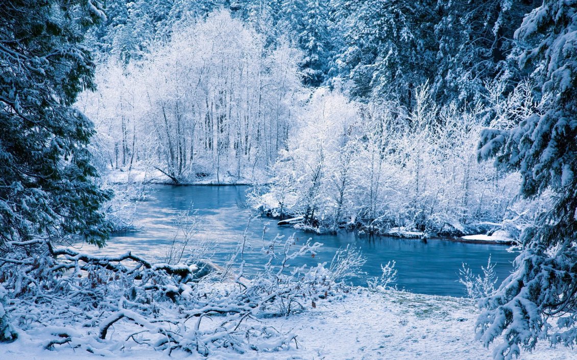 Download Wallpaper Amazing blue and white frozen nature - Cold winter season