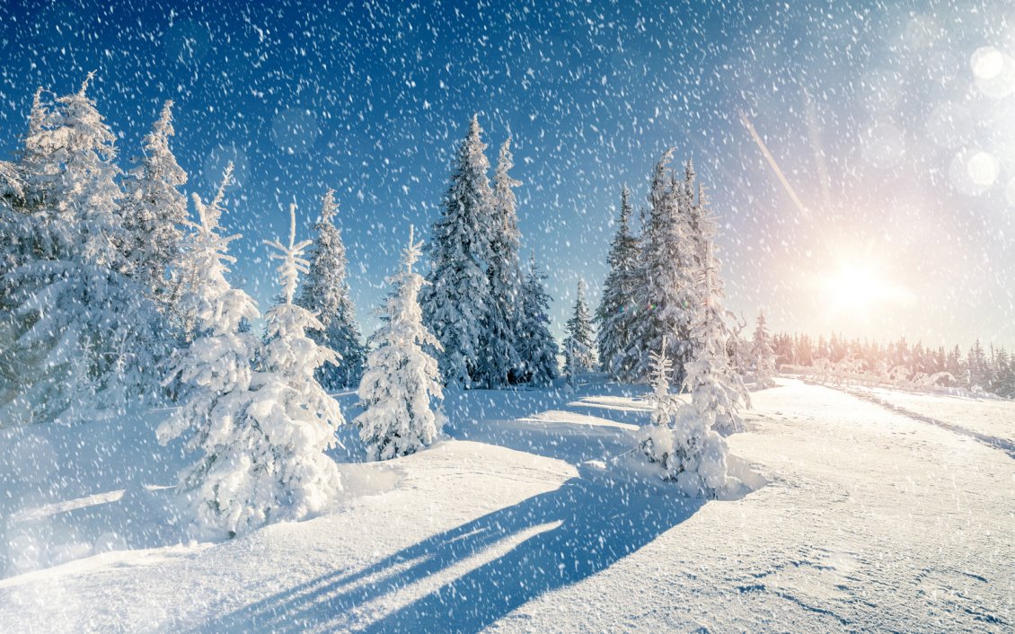 Download Wallpaper Beautiful sun on a cold winter day - White season