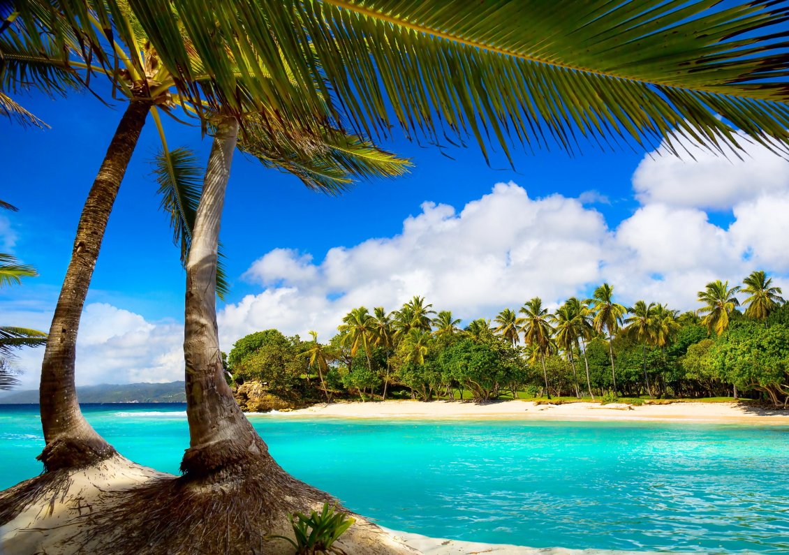 Download Wallpaper Relaxing place for a special summer holiday -Tropical island