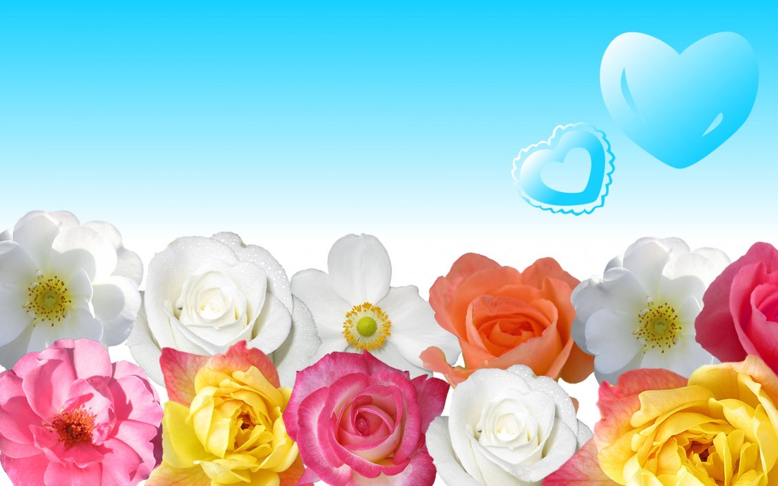 Download Wallpaper DIfferent colors of beautiful roses - Blue heart in the sky