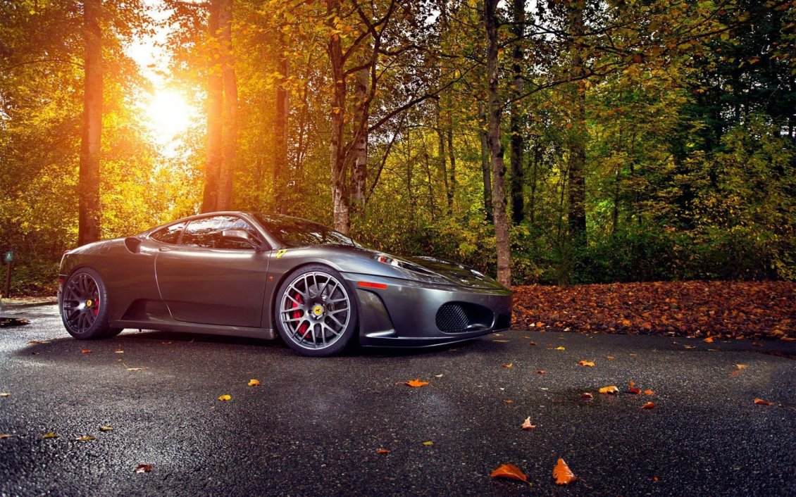 Download Wallpaper Luxury car in the forest - Autumn sun and leaves