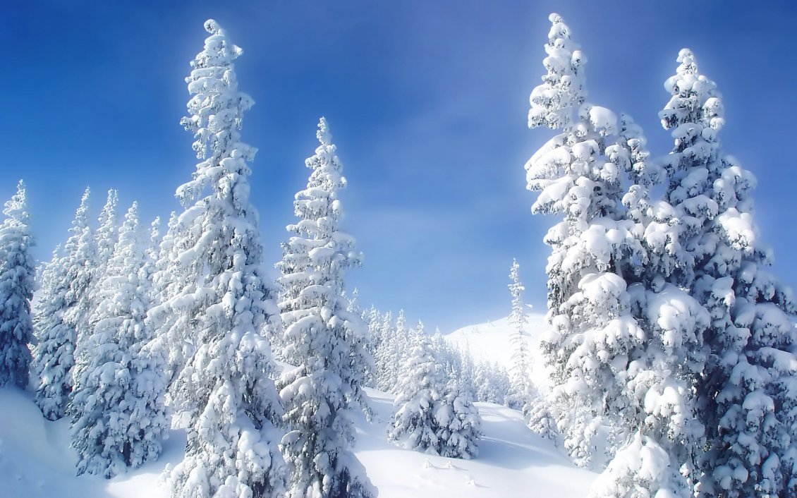 Download Wallpaper Wonderful white snow over the trees - Winter season