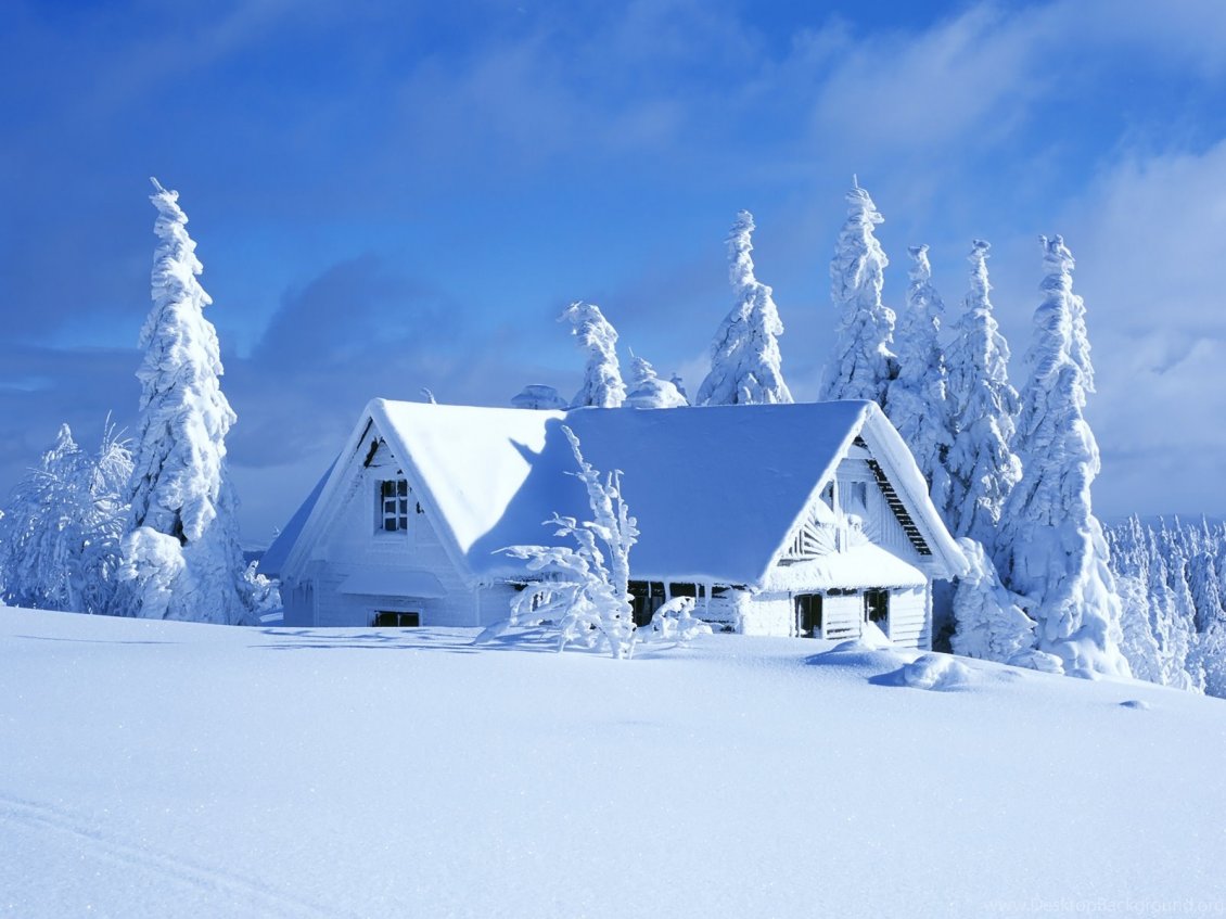 Download Wallpaper White house in a beautiful white winter season -HD Wallpaper