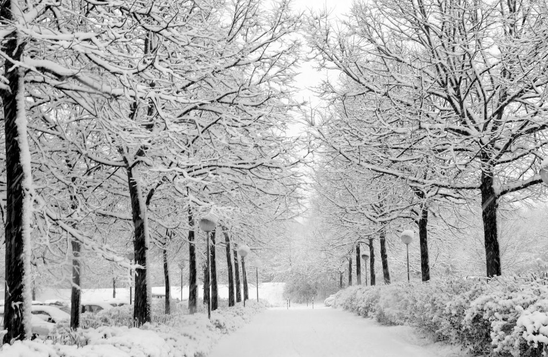 Download Wallpaper White path full with snow in the park - HD wallpaper