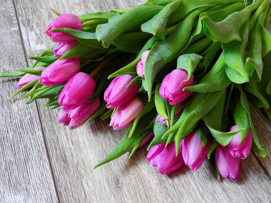 Download Wallpaper Bouquet with pink tulips - Wonderful spring season