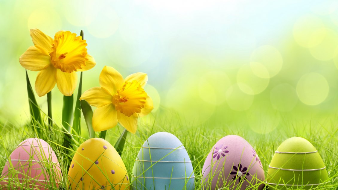 Download Wallpaper Five painted Easter eggs in the grass - Happy Spring time
