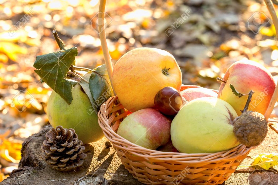 Download Wallpaper Autumn fruits - Basket full with delicious apples