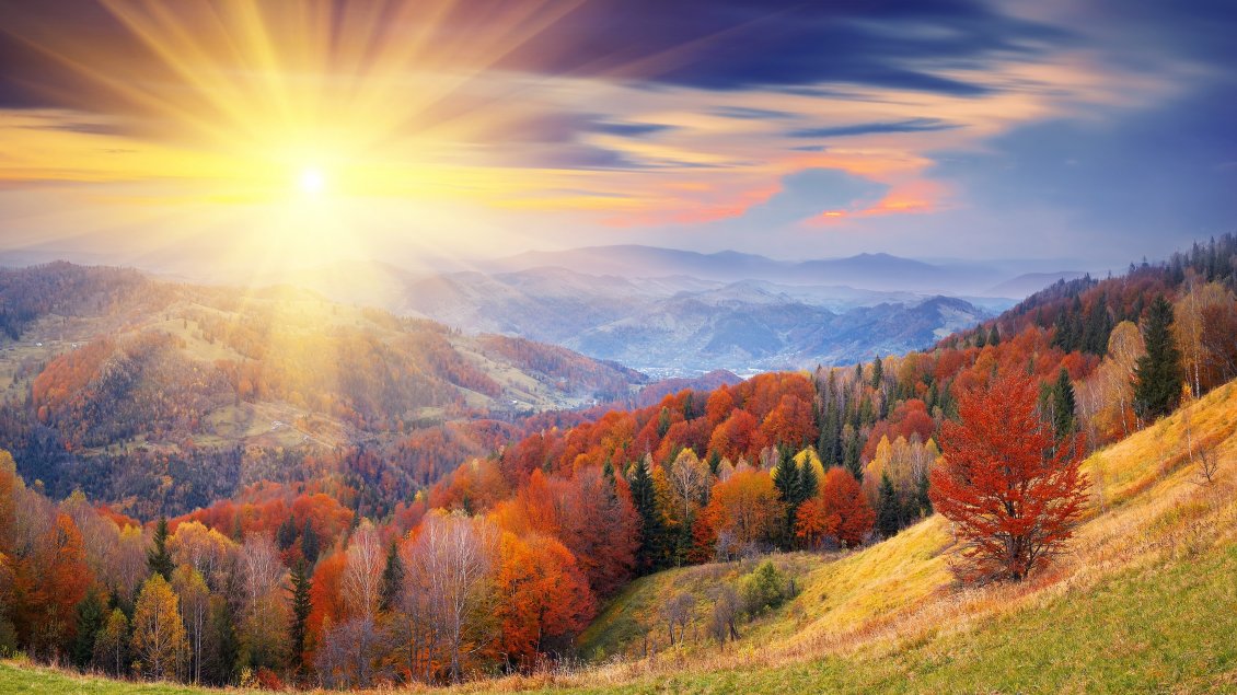 Download Wallpaper Sun is upon a wonderful Autumn day - Beautiful landscape