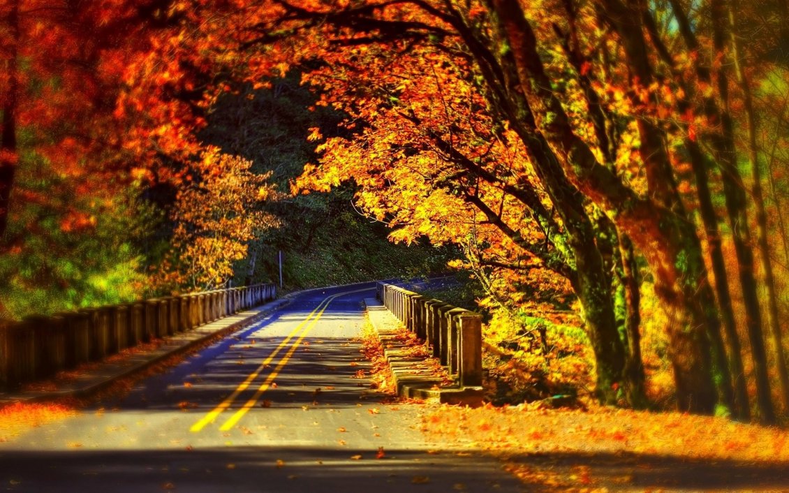 Download Wallpaper Tunnel Autumn trees - Wonderful sunny day Autumn season