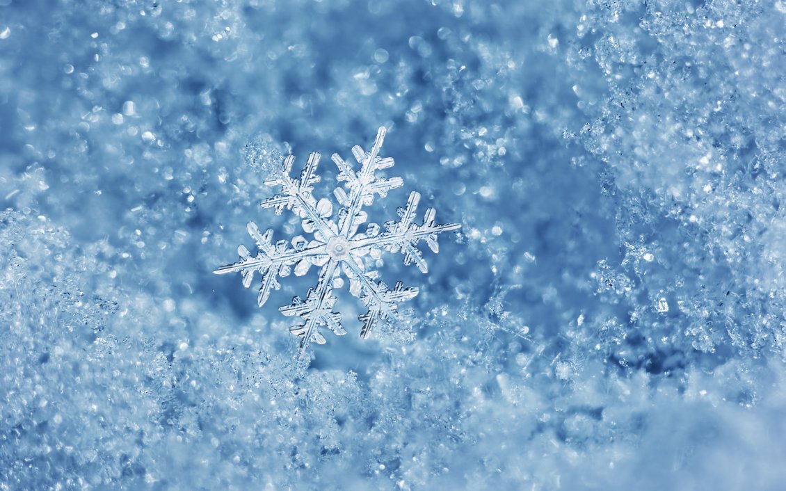 Download Wallpaper Perfect snowflake cold and ice - Macro winter wallpaper