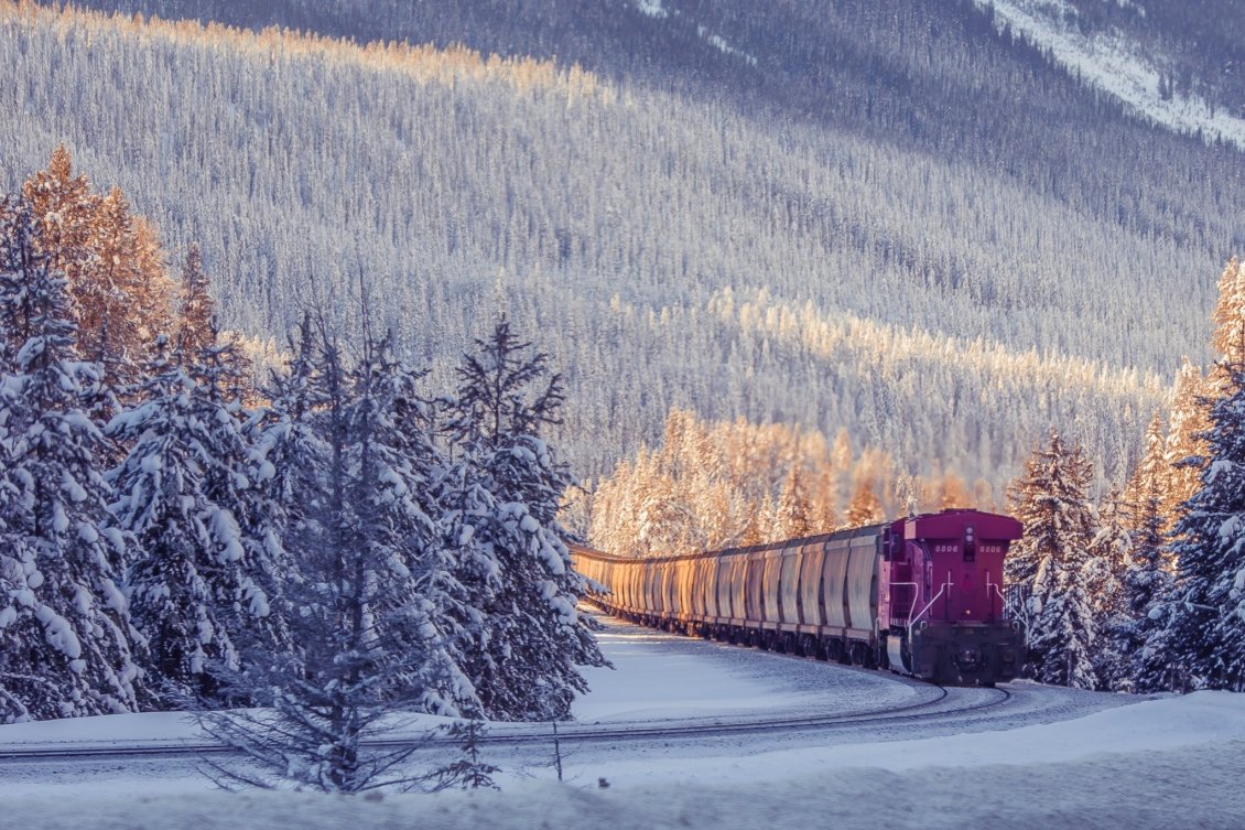 Download Wallpaper Frozen freight train through forest - Winter wallpaper