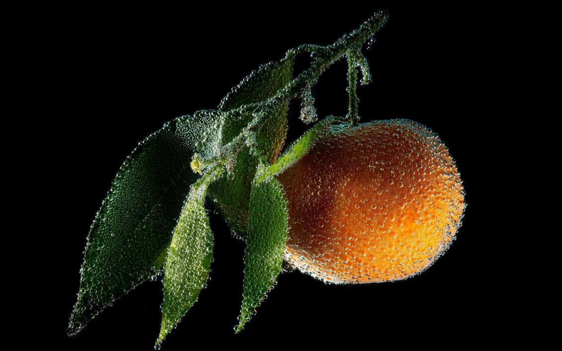 Download Wallpaper Wonderful macro frozen water drops on a citrus - Fresh fruit