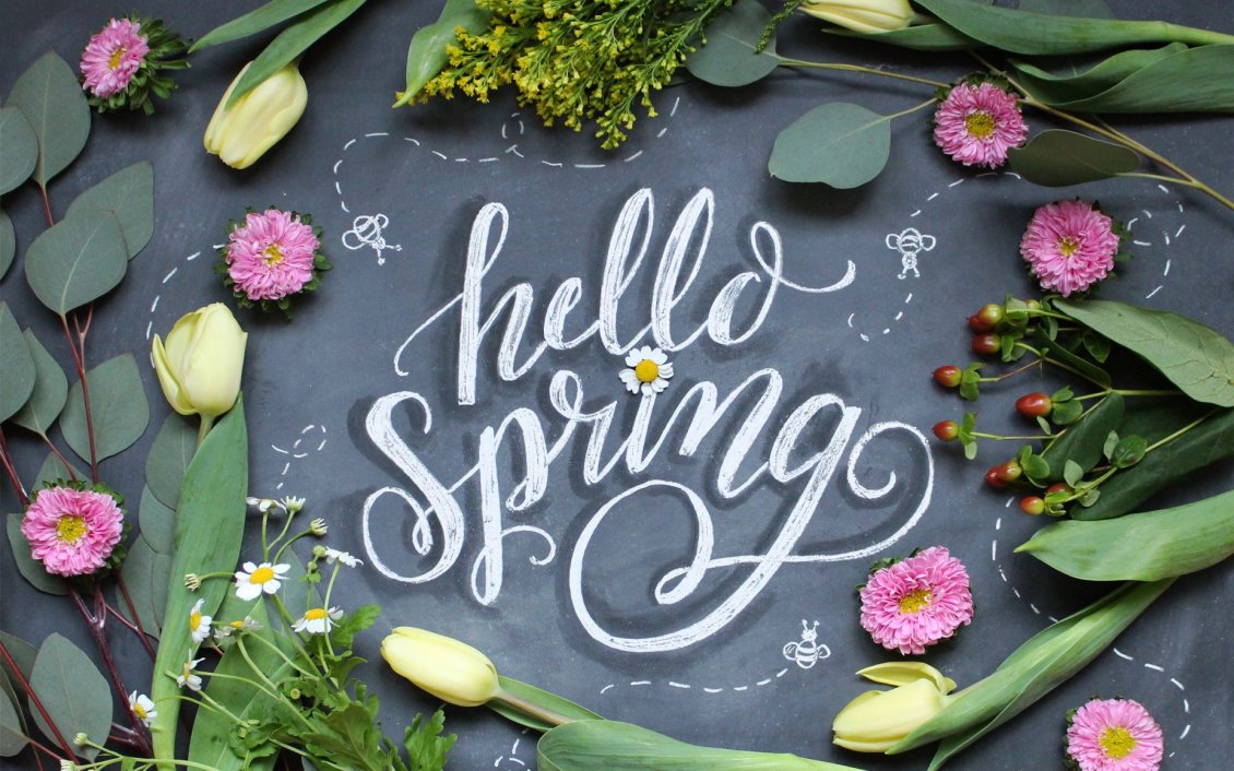 Download Wallpaper Hello Spring write on blackboard at school - Flowers time