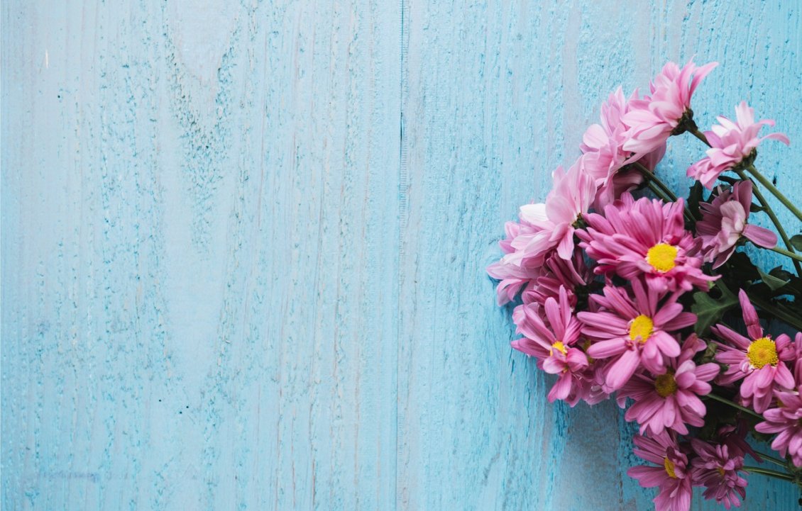 Download Wallpaper Pink flowers bouquet on a blue background - HD wallpaper