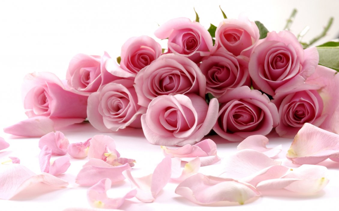 Download Wallpaper Light pink flowers - Rose bouquet - Special woman 8 March