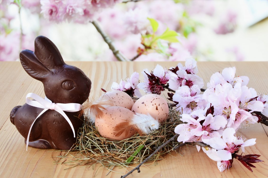 Download Wallpaper Easter eggs in a bird house - Bunny and flowers