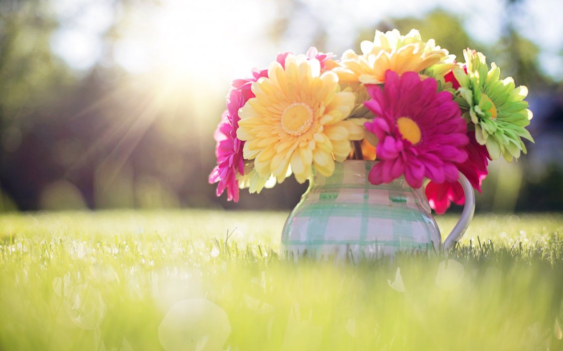 Download Wallpaper Spring bouquet of flowers in a vase in the garden - Sunshine