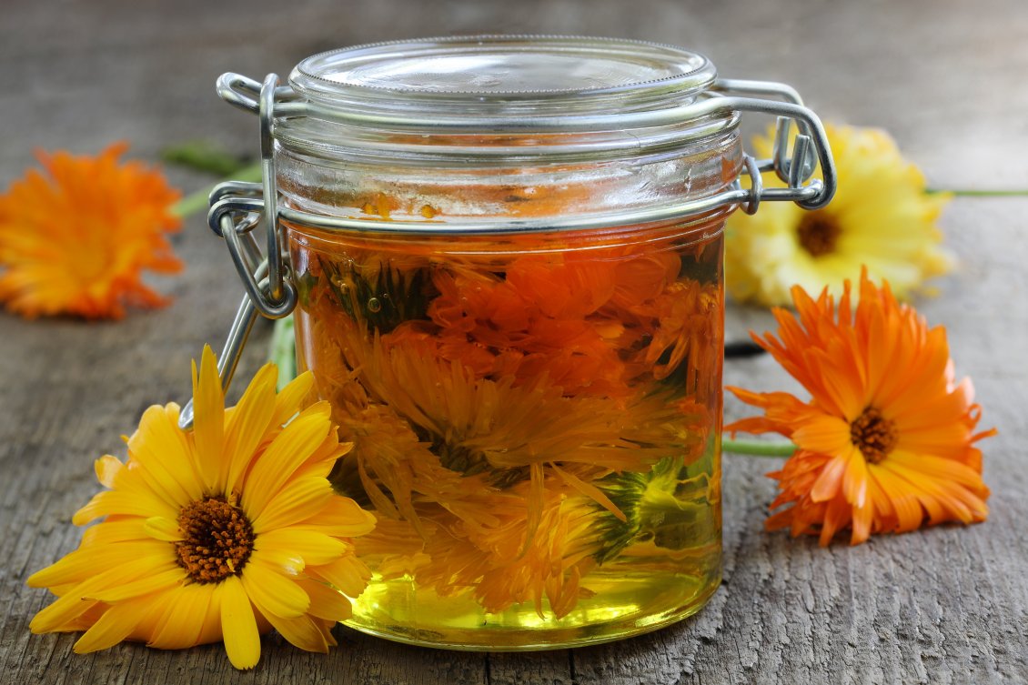 Download Wallpaper Infused flowers in olive oil - Recipe for migraine