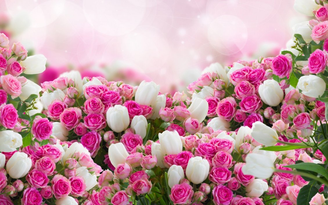 Download Wallpaper Wonderful photo frame - Pink roses and white tulips