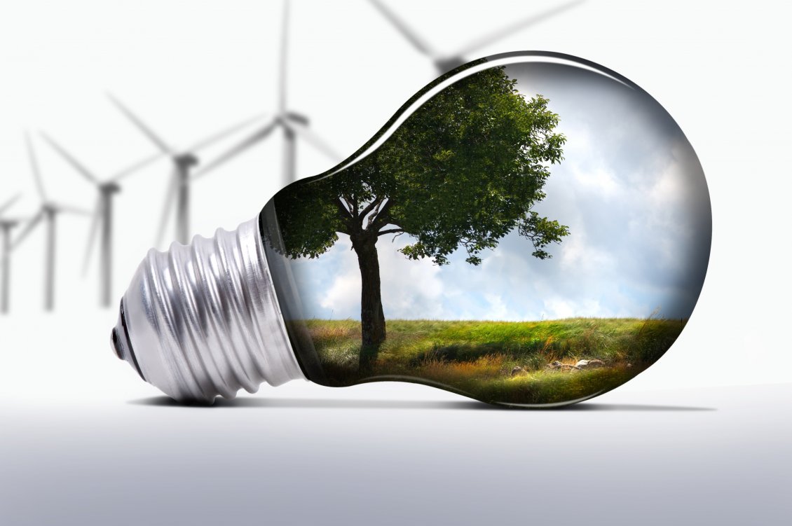Download Wallpaper Nature in a light bulb - Explore nature safety