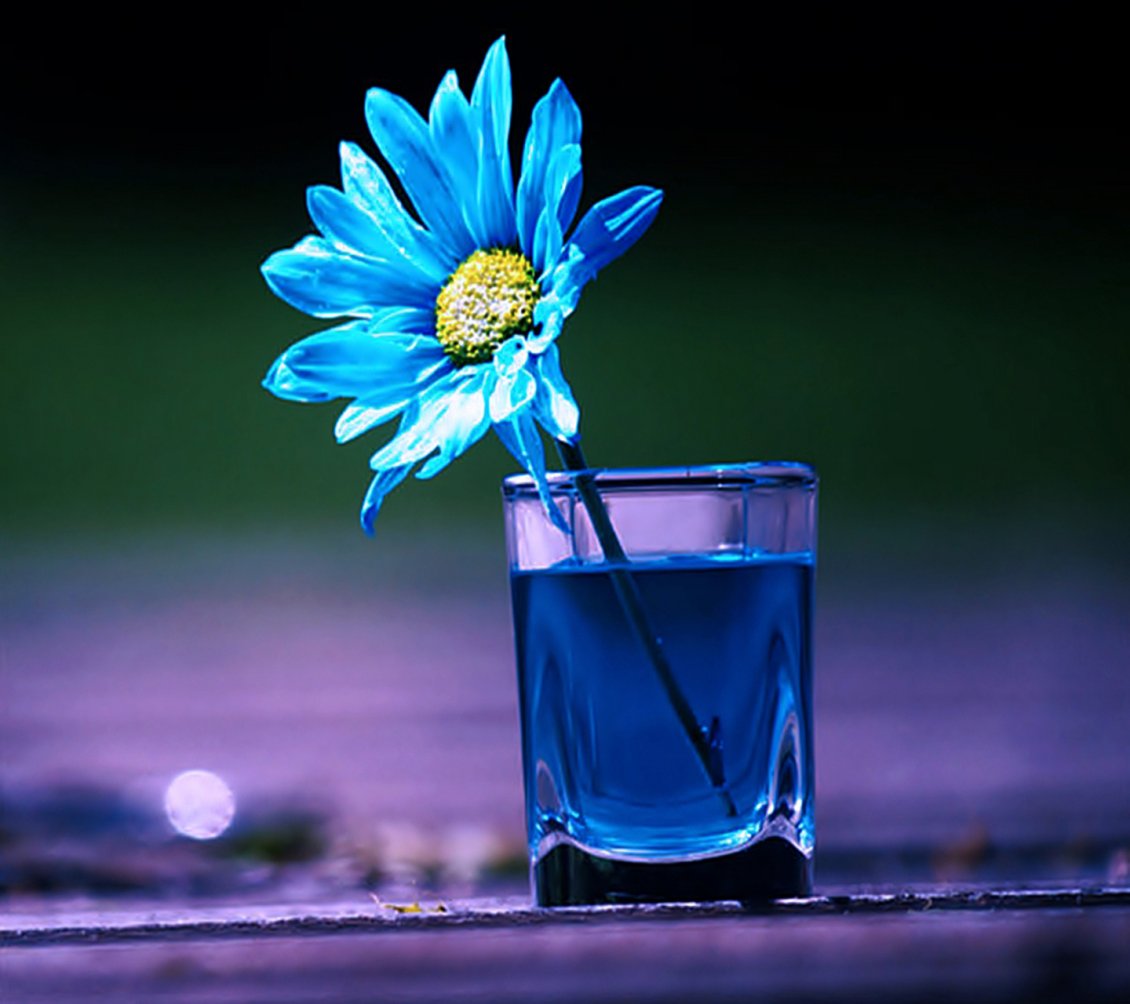 Download Wallpaper Blue flower in a glass with blue water Abstract 3D wallpaper