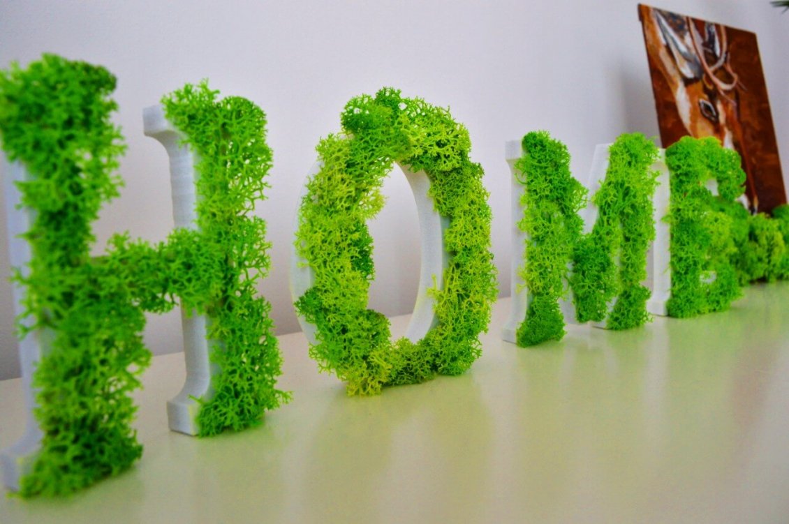 Download Wallpaper Home - Beautiful word made from lichens - Green moss picture