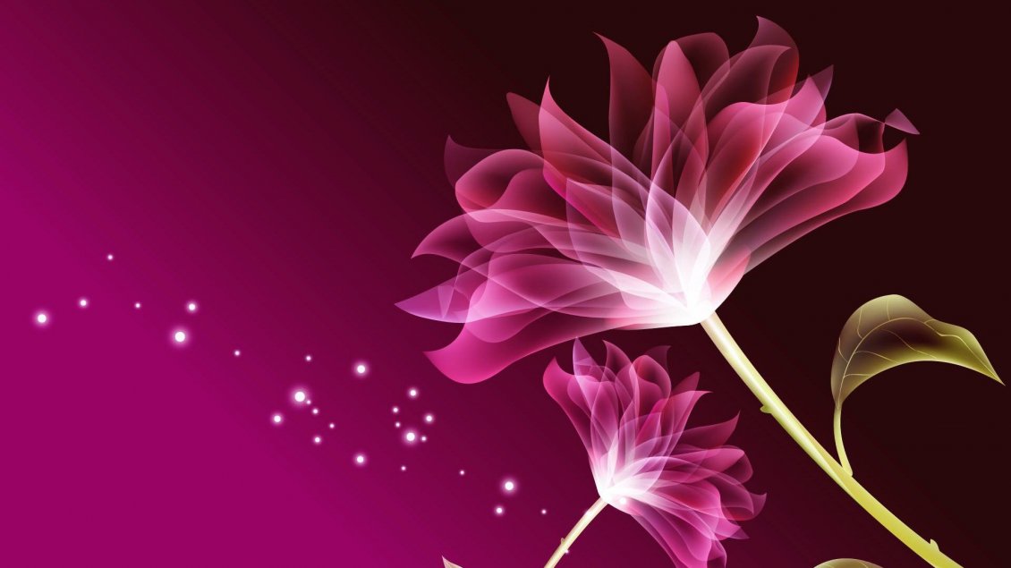 Download Wallpaper Two pink flowers - Beauty wallpaper digital art design