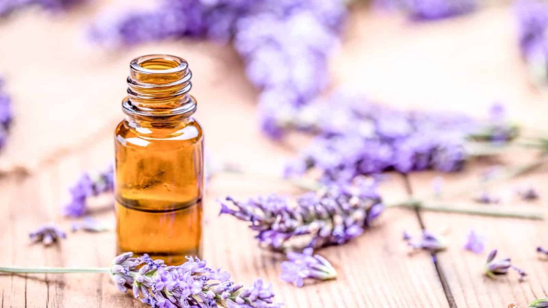 Download Wallpaper Lavender Essential Oils - Purple color