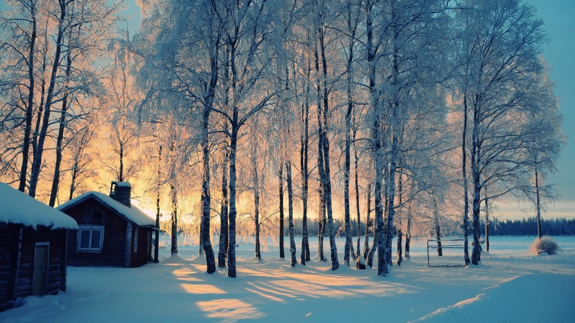 Download Wallpaper Good morning beautiful winter day in the forest-HD wallpaper