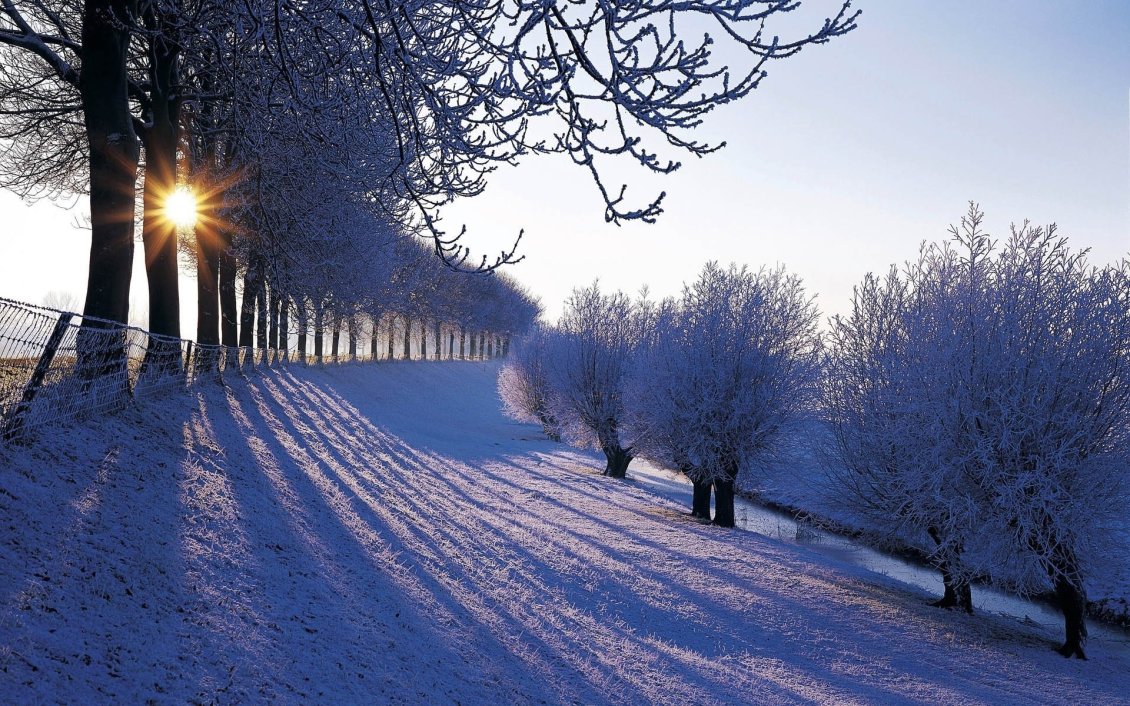 Download Wallpaper Sunrise in a winter cold day - HD wallpaper